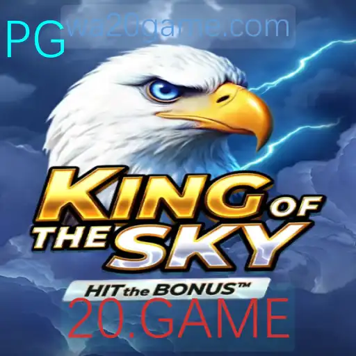 Explorando o Envolvente Mundo de KingOfTheSky: Um Guia Completo